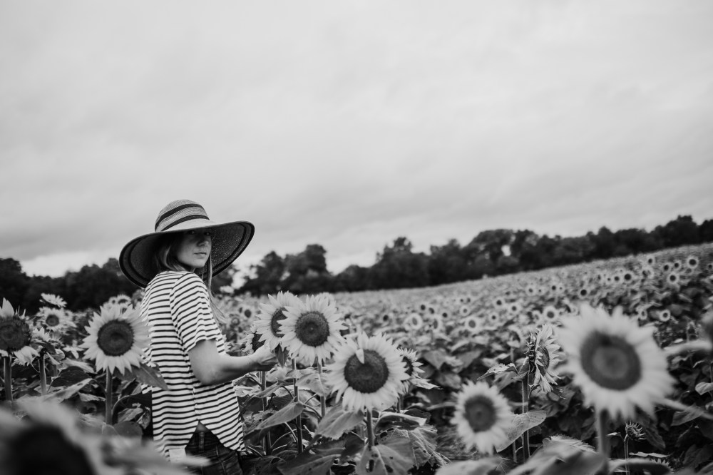 kaylakohnphotographylawrencekansasGrinterssunflower-1-6